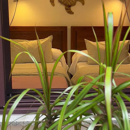 Pombal Bayona Apartment *